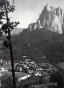 bosco (Positivo) di Foto Edizioni Ghedina (1950/01/01 - 1979/12/31)