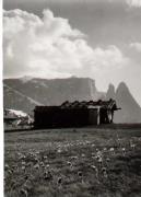 capanna (Positivo) di Foto Wenzel Fischer, Garmisch (1960/01/01 - 1979/12/31)