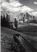 Fichte (Positivo) di Foto Edizioni Ghedina (1960/01/01 - 1979/12/31)