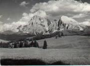 prato (Positivo) di Foto Dr. Frass, Bozen (1950/01/01 - 1979/12/31)