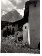 bosco (Positivo) di Foto Sandro Saltuari, Bozen (1950/01/01 - 1979/12/31)