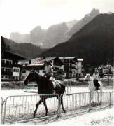 Reitsport (Positivo) (1960/01/01 - 1979/12/31)