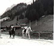 Reitsport (Positivo) (1960/01/01 - 1979/12/31)