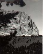 Alpinflora (Positivo) di Foto Sandro Saltuari, Bozen (1960/01/01 - 1979/12/31)