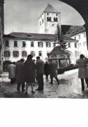 Besichtiger(in)/Besucher(in) (Positivo) di Foto Sandro Saltuari, Bozen (1960/01/01 - 1979/12/31)