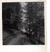 Waldweg (Positivo) di Foto Gianni Marini (1950/01/01 - 1979/12/31)