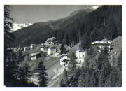 Nadelwald (Positivo) di Foto Edizioni Ghedina (1960/01/01 - 1979/12/31)