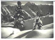 Motiv: Winter (Positivo) di Foto Edizioni Ghedina (1960/01/01 - 1979/12/31)