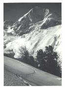 Alpinflora (Positivo) di Bährendt, Leo (1902/01/01 - 1939/12/31)