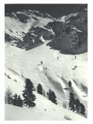 Alpinflora (Positivo) di Bährendt, Leo (1902/01/01 - 1939/12/31)