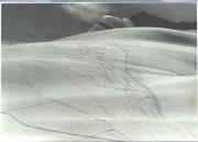 Wintersport, Skispuren im Schnee (Positivo) di Foto Edizioni Ghedina (1960/01/01 - 1979/12/31)