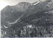 Lärche (Positivo) di Foto Edizioni Ghedina (1936/01/01 - 1979/12/31)