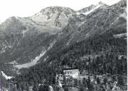 Lärche (Positivo) di Foto Edizioni Ghedina (1936/01/01 - 1979/12/31)