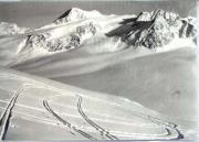 Wintersport, Skispuren im Schnee (Positivo) di Foto Edizioni Ghedina (1950/01/01 - 1979/12/31)