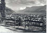 Tappeinerweg Meran (Positivo) di Foto Edizioni Ghedina (1950/01/01 - 1979/12/31)