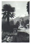 Promenade (Positivo) di Bährendt, Leo (1902/01/01 - 1939/12/31)