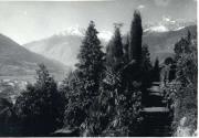 Promenade (Positivo) di Bährendt, Leo (1902/01/01 - 1939/12/31)