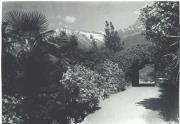 Promenade (Positivo) di Bährendt, Leo (1902/01/01 - 1939/12/31)