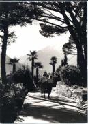 Tappeinerweg Meran (Positivo) di Foto Löbl, Bad Tölz/Oberbayern (1950/01/01 - 1969/12/31)