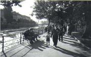 Passerpromenade Meran (Positivo) di Foto E. Pedrotti, Bozen (1950/01/01 - 1979/12/31)