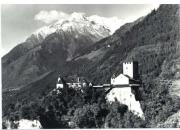 Mischwald (Laub- und Nadelbäume) (Positivo) di Foto Edizioni Ghedina (1950/01/01 - 1979/12/31)