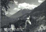 Laubwald (Positivo) di Foto Edizioni Ghedina (1950/01/01 - 1979/12/31)