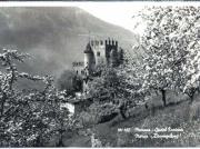 Obstbaum (Positivo) di Foto Edizioni Ghedina (1950/01/01 - 1979/12/31)