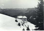 Fichte (Positivo) di Bährendt, Leo (1902/01/01 - 1939/12/31)