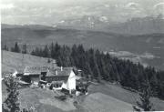 bosco (Positivo) di Bährendt, Leo (1902/01/01 - 1939/12/31)