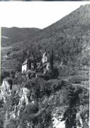 Mischwald (Laub- und Nadelbäume) (Positivo) di Foto Edizioni Ghedina (1950/01/01 - 1979/12/31)