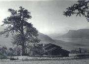 Bauernhof Tirol (Positivo) di Bährendt, Leo (1902/01/01 - 1939/12/31)