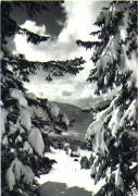 Motiv: Winter (Positivo) (1950/01/01 - 1979/12/31)