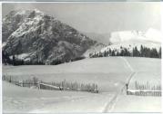 Wintersport, Skispuren im Schnee (Positivo) di Foto Edizioni Ghedina (1950/01/01 - 1979/12/31)