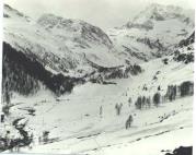 bosco (Positivo) (1950/01/01 - 1979/12/31)