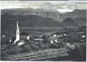 Weinberge in Kaltern-St. Anton (Positivo) di Foto Edizioni Ghedina (1950/01/01 - 1979/12/31)