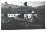 vigneto (Positivo) di Foto E. Pedrotti, Bozen (1950/01/01 - 1979/12/31)