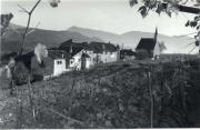 vigneto (Positivo) di Foto E. Pedrotti, Bozen (1950/01/01 - 1979/12/31)