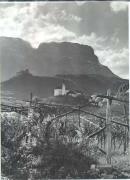 vigneto (Positivo) di Foto H. Müller-Brunke, Chiemgau (1950/01/01 - 1979/12/31)