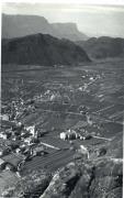 Obstbaum (Positivo) di Foto E. Pedrotti, Bozen (1950/01/01 - 1979/12/31)