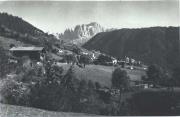 bosco (Positivo) (1950/01/01 - 1969/12/31)