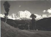 bosco (Positivo) di Foto Löbl, Bad Tölz/Oberbayern (1950/01/01 - 1969/12/31)