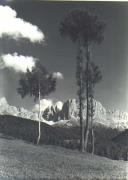 prato (Positivo) di Foto Edizioni Ghedina (1950/01/01 - 1969/12/31)