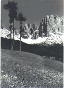 prato (Positivo) di Foto Dr. Frass, Bozen (1950/01/01 - 1969/12/31)