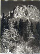 Nadelwald (Positivo) di Foto Wenzel Fischer, Garmisch (1950/01/01 - 1969/12/31)