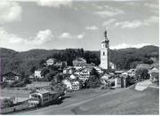 bosco (Positivo) di Foto Sandro Saltuari, Bozen (1950/01/01 - 1969/12/31)