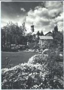 Blume(n) in Park oder Garten (Positivo) di Foto Edizioni Ghedina (1950/01/01 - 1969/12/31)