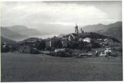 bosco (Positivo) (1950/01/01 - 1969/12/31)