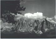 Alpinflora (Positivo) di Foto E. Pedrotti, Bozen (1950/01/01 - 1979/12/31)