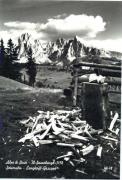 spaccare la legna (Positivo) di Foto Edizioni Ghedina (1950/01/01 - 1979/12/31)