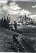 Viehtränke auf Alm/Wiese (Positivo) di Foto Edizioni Ghedina (1950/01/01 - 1979/12/31)